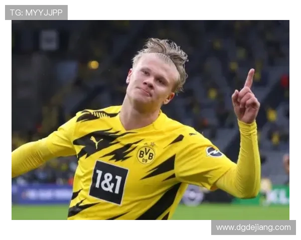 弗拉霍维奇与哈兰德终结能力级别差异解析